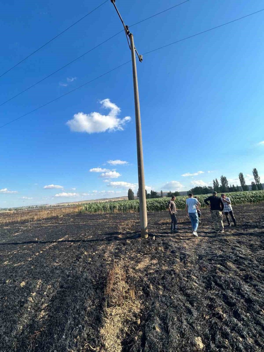 Elektrik Akımına Kapılan Kuşun Sebep Olduğu Yangında 60 Dönüm Hububat Arazisi Zarar Gördü