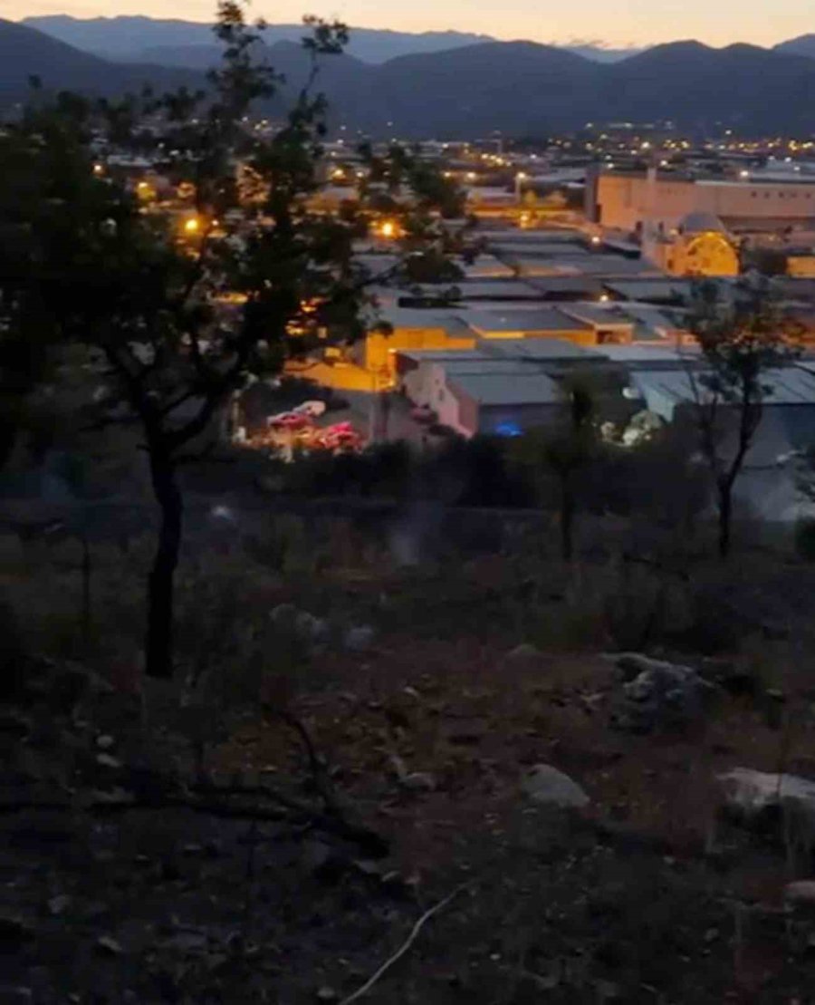 Gazipaşa’da Hazineye Ait Bozuk Ormanlık Alanda Yangın Çıktı