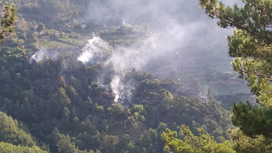 Mersin’de Orman Yangını Havadan Ve Karadan Müdahale İle Kontrol Altına Alındı