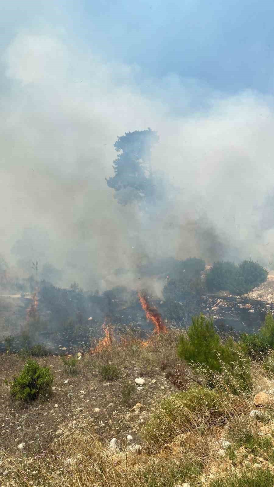 Kaş’taki Orman Yangını Havadan Ve Karadan Müdahaleyle Kontrol Altına Alındı