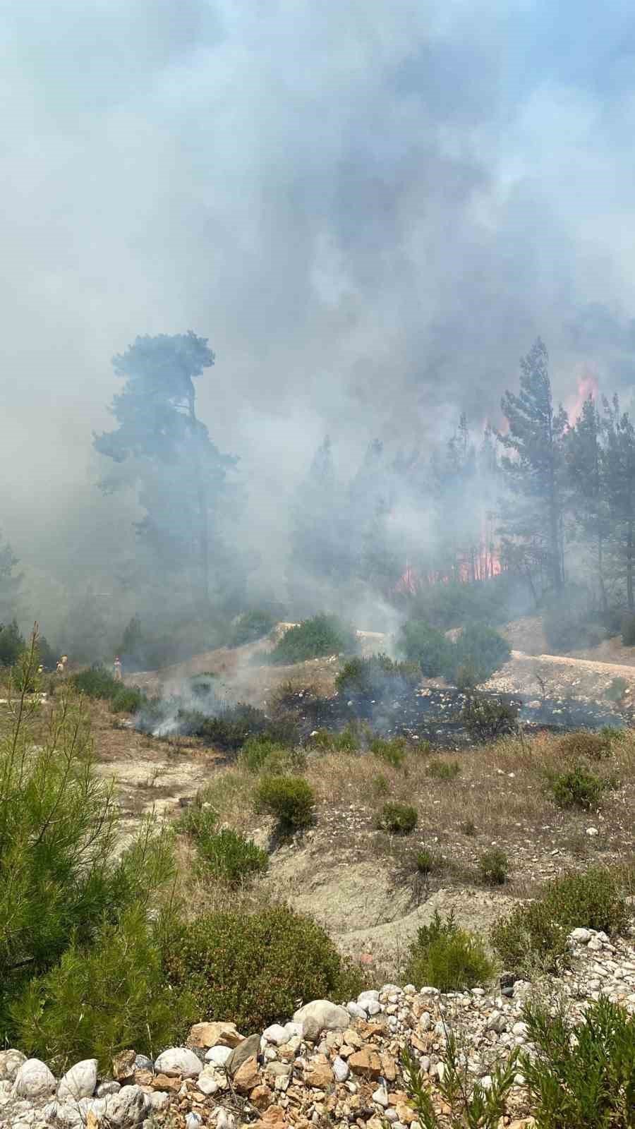 Kaş’taki Orman Yangını Havadan Ve Karadan Müdahaleyle Kontrol Altına Alındı