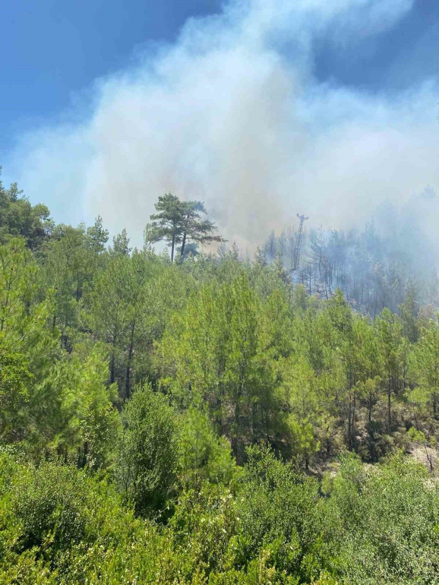 Kaş’taki Orman Yangını Havadan Ve Karadan Müdahaleyle Kontrol Altına Alındı