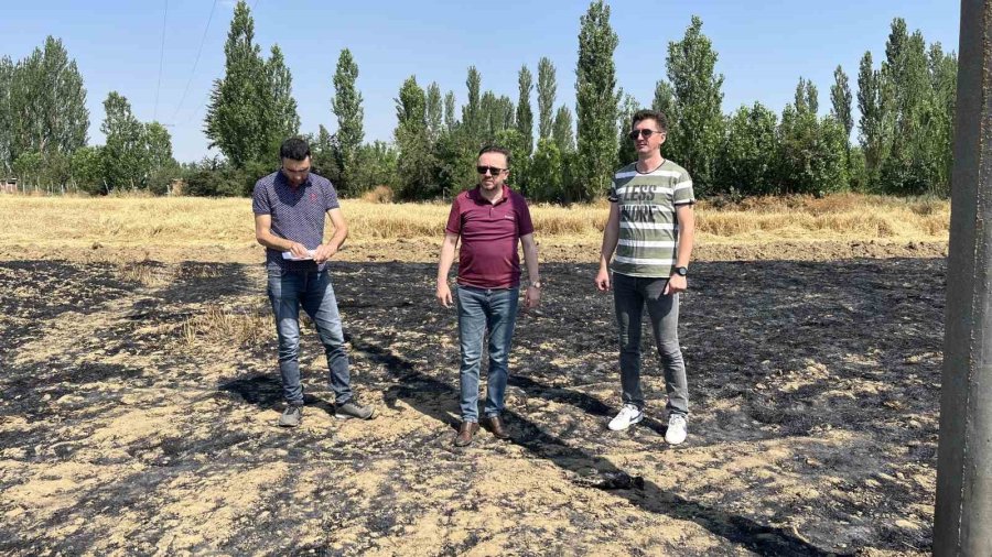 Havada Güvercin Kovalayan Atmaca Bakın Neye Sebep Oldu?