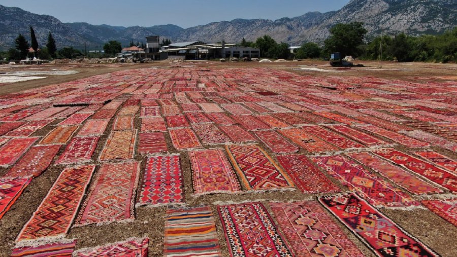 Antalya’nın Buğday Arazileri, Rengarenk Halı Tarlasına Dönüştü