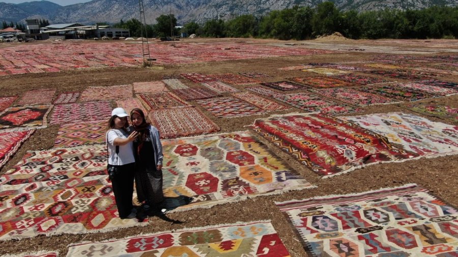 Antalya’nın Buğday Arazileri, Rengarenk Halı Tarlasına Dönüştü