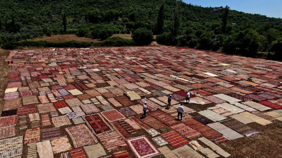 Antalya’nın Buğday Arazileri, Rengarenk Halı Tarlasına Dönüştü