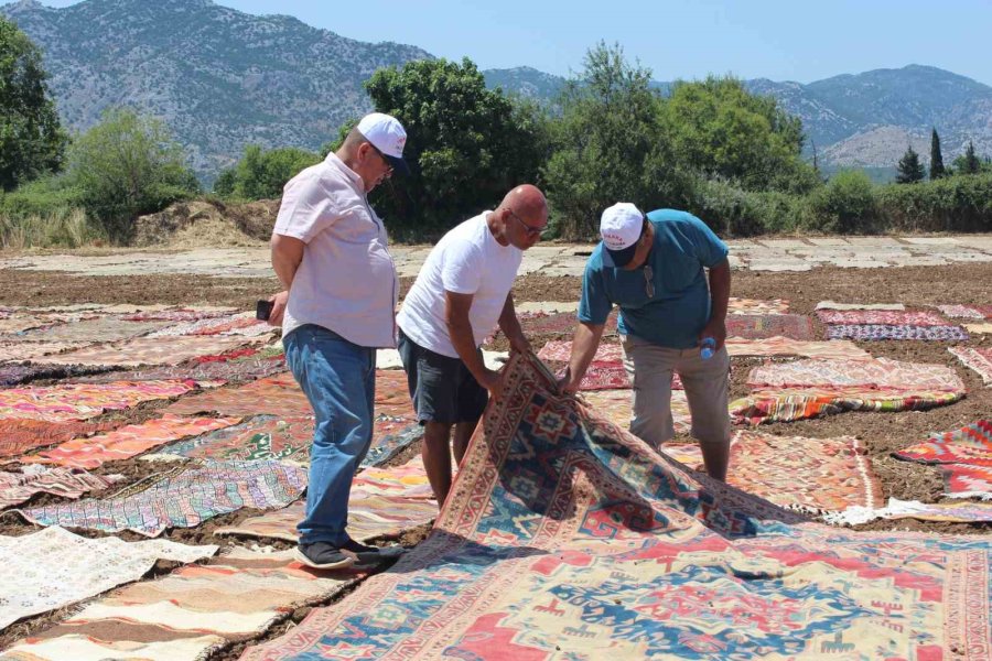 Antalya’nın Buğday Arazileri, Rengarenk Halı Tarlasına Dönüştü