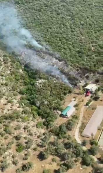 Kaş’ta Orman Yangını Başladı