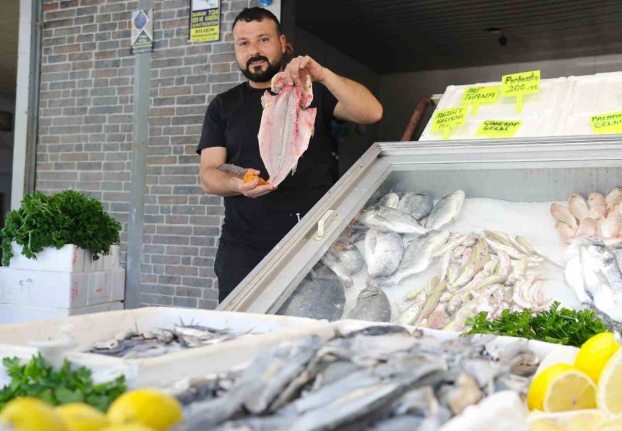 Mezitli’nin İkinci Balık Pazarı Açıldı