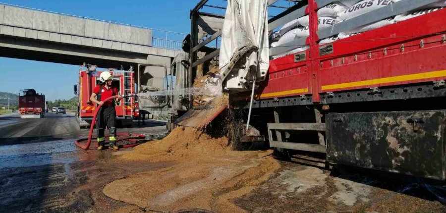 Mersin’de Yem Yüklü Tır Yandı