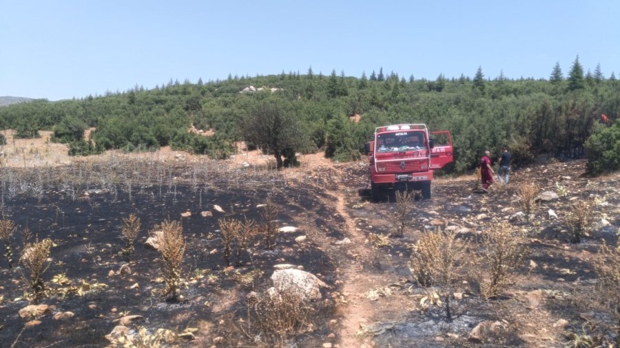 Antalya’da Çalılık Alanda Yangın