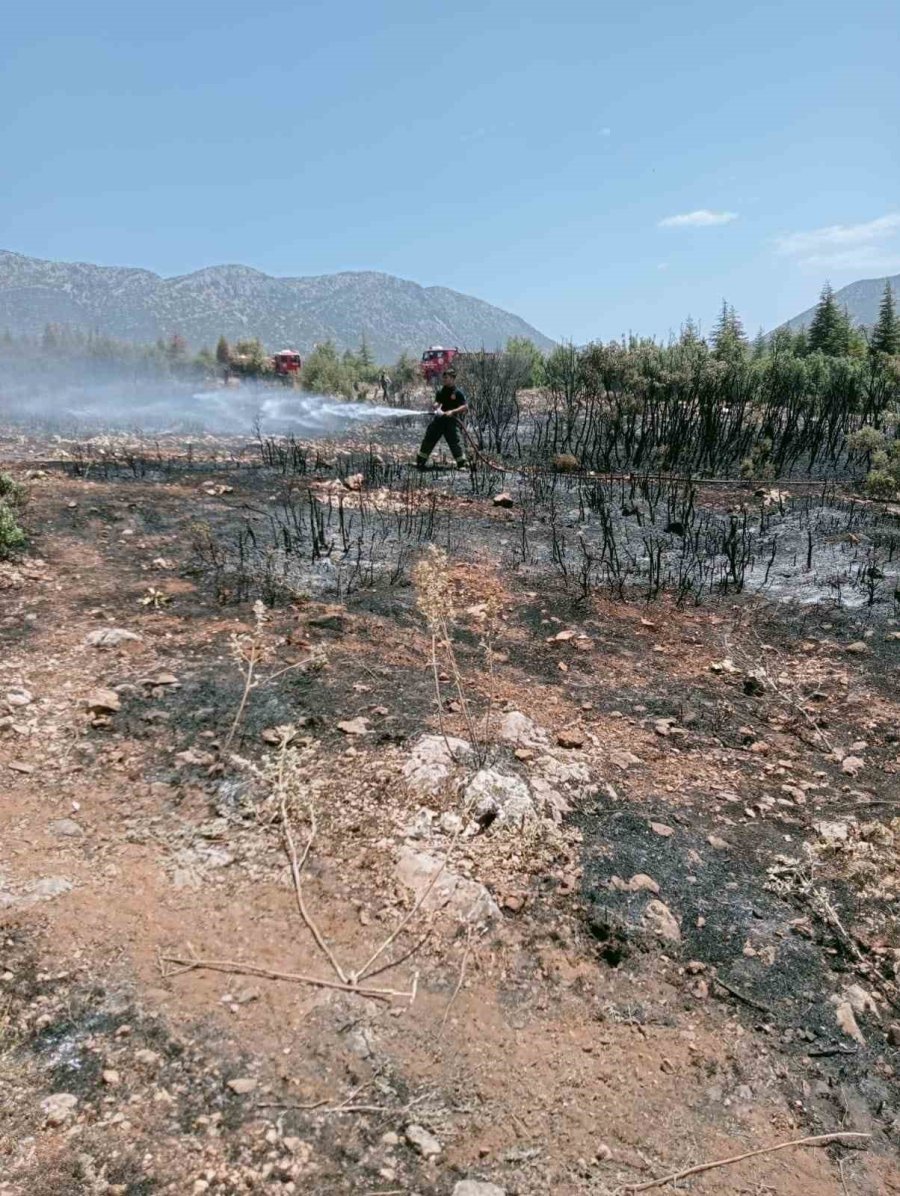 Antalya’da Çalılık Alanda Yangın