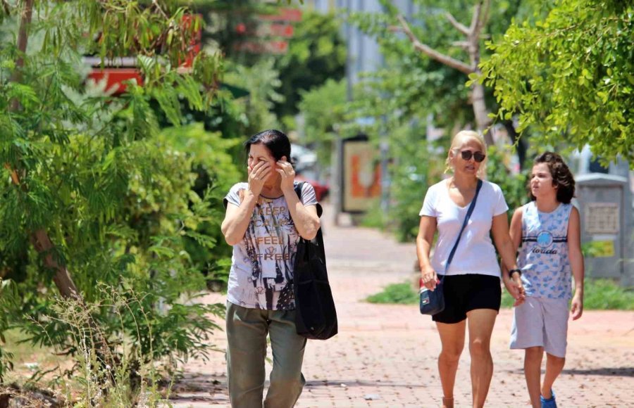 Termometreler 45 Dereceyi Gösterdi, Yağmurdan Kaçar Gibi El Nino’dan Kaçtılar