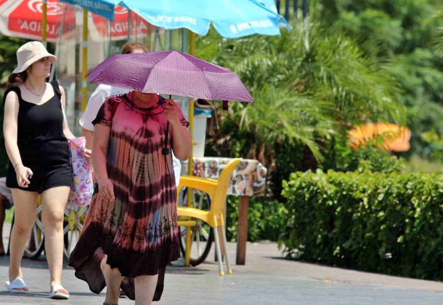 Termometreler 45 Dereceyi Gösterdi, Yağmurdan Kaçar Gibi El Nino’dan Kaçtılar