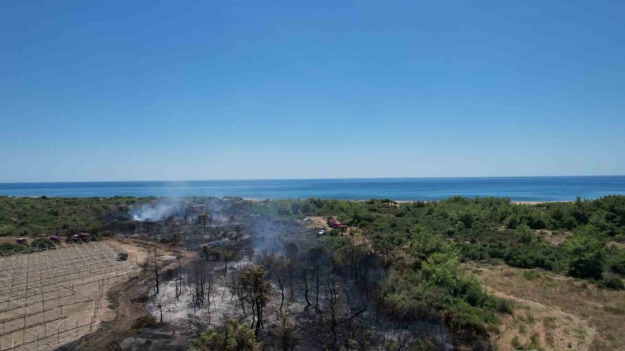 Manavgat’taki Orman Yangınında İhmal İddiası