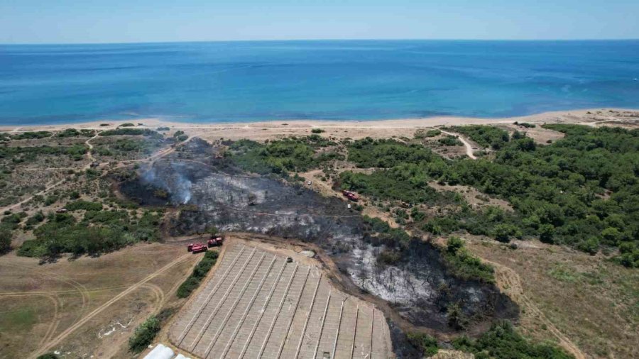 Manavgat’taki Orman Yangınında İhmal İddiası