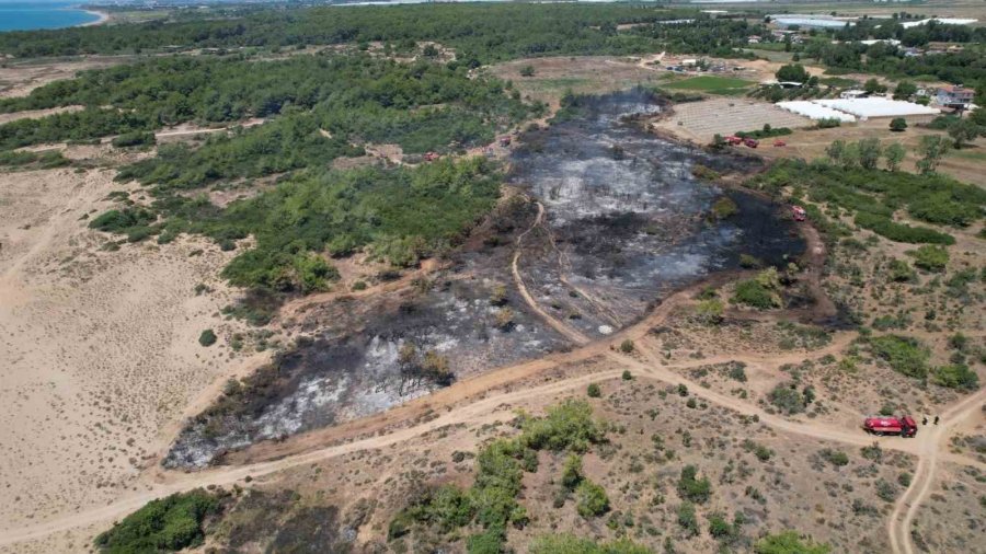 Manavgat’taki Orman Yangınında İhmal İddiası