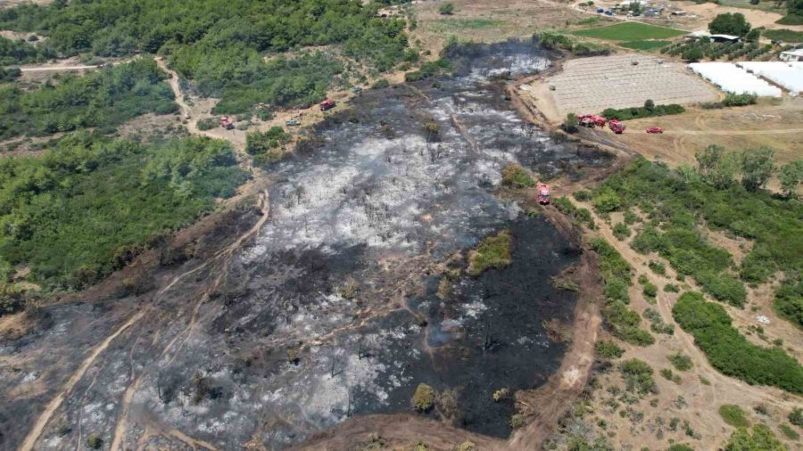 Manavgat’taki Orman Yangınında İhmal İddiası