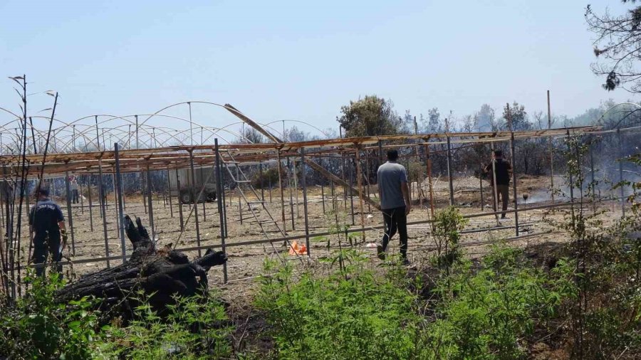 Manavgat’taki Orman Yangınında İhmal İddiası