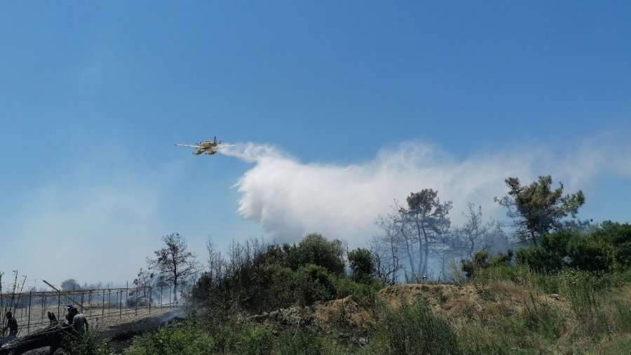 Manavgat’taki Orman Yangınında İhmal İddiası