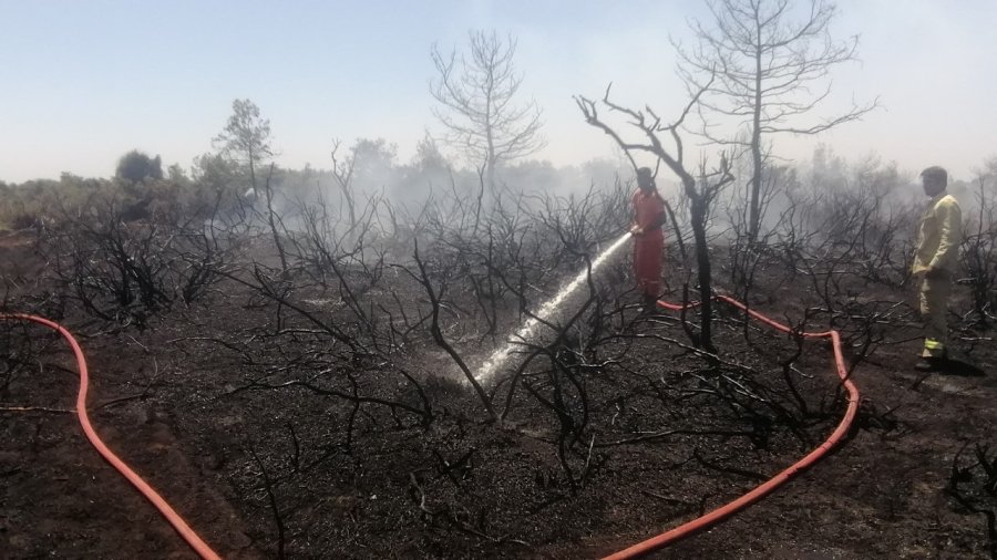 Antalya’da Çıkan Orman Yangını Kontrol Altına Alındı