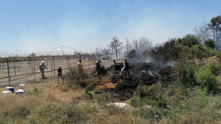 Antalya’da Çıkan Orman Yangını Kontrol Altına Alındı