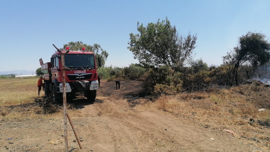 Antalya’da Çıkan Orman Yangını Kontrol Altına Alındı