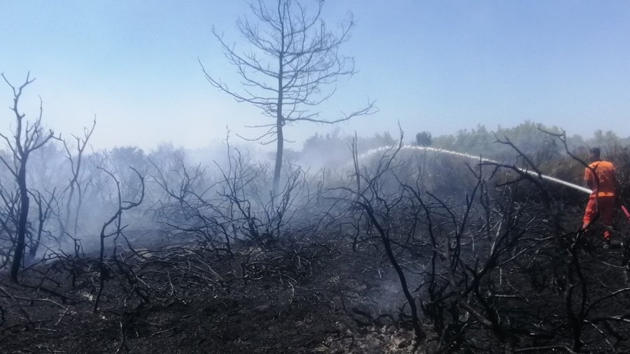 Antalya’da Çıkan Orman Yangını Kontrol Altına Alındı