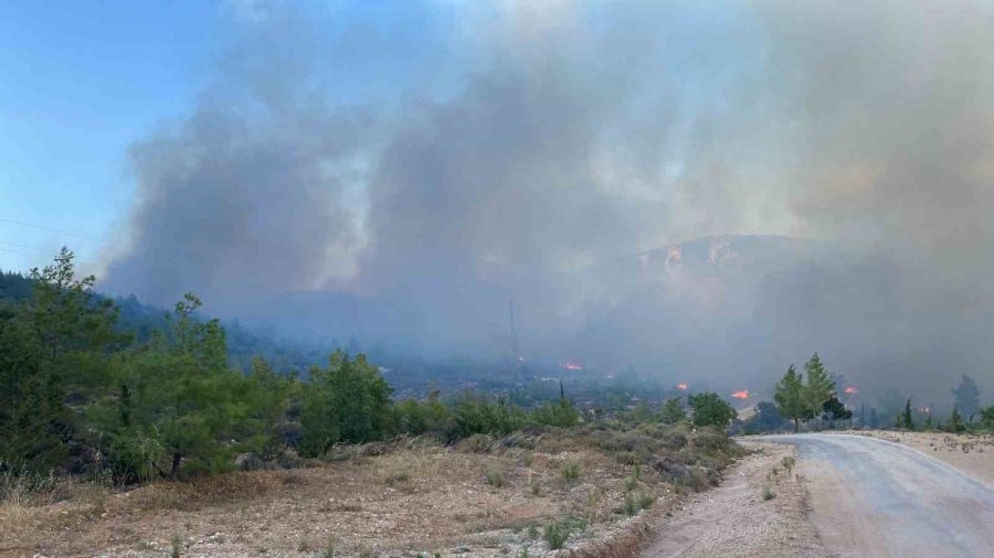 Mersin’de Orman Yangını