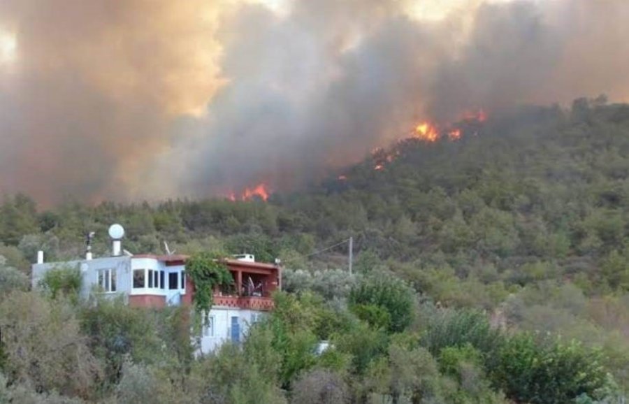 Mersin’de Orman Yangını