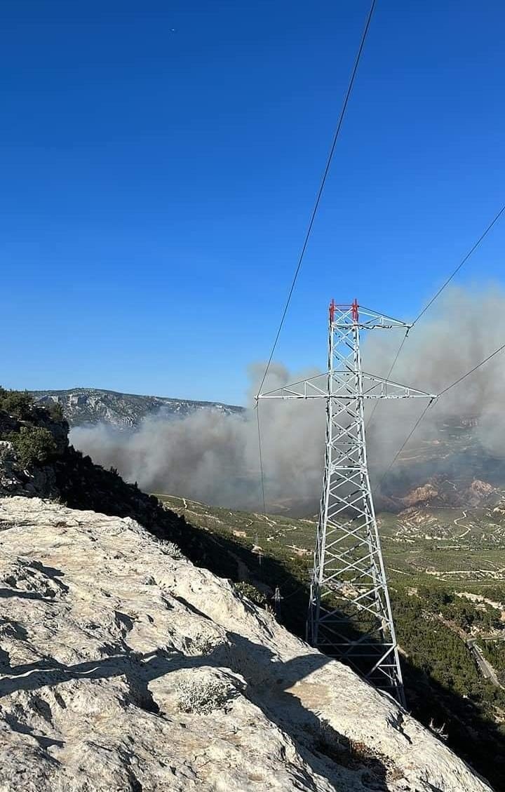 Mersin’de Orman Yangını