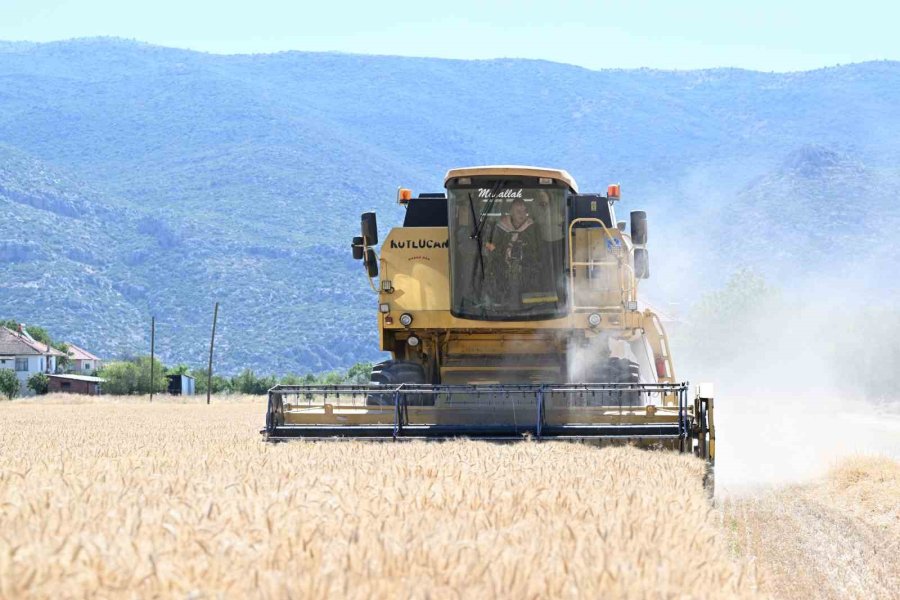 Büyükşehir’den 2 Bin 600 Dekara Buğday Ve Ayçiçeği Desteği