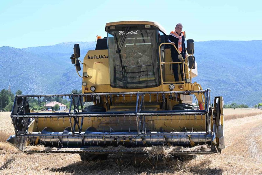 Büyükşehir’den 2 Bin 600 Dekara Buğday Ve Ayçiçeği Desteği