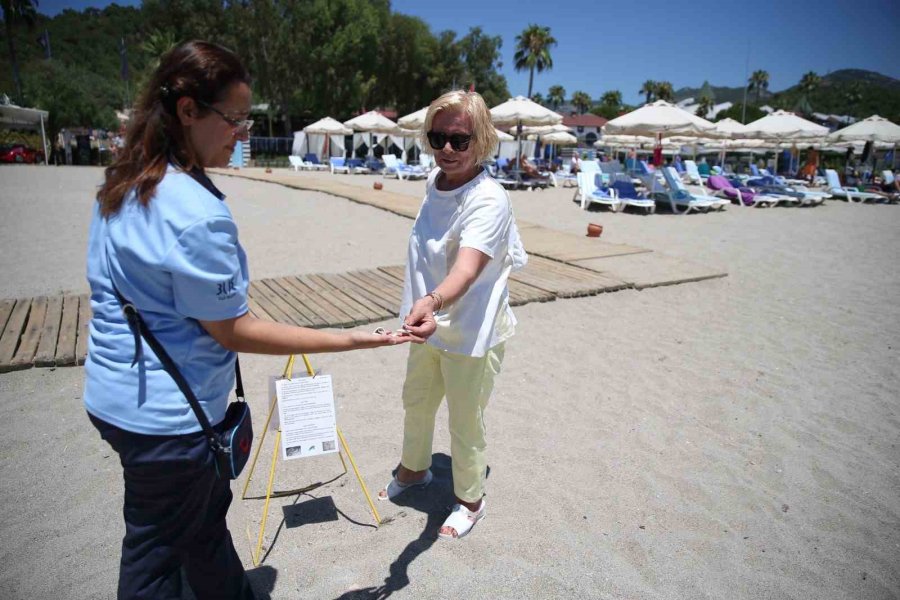 Alanya Plajlarında Caretta Caretta Yumurtaları Otellerin Koruması Altında