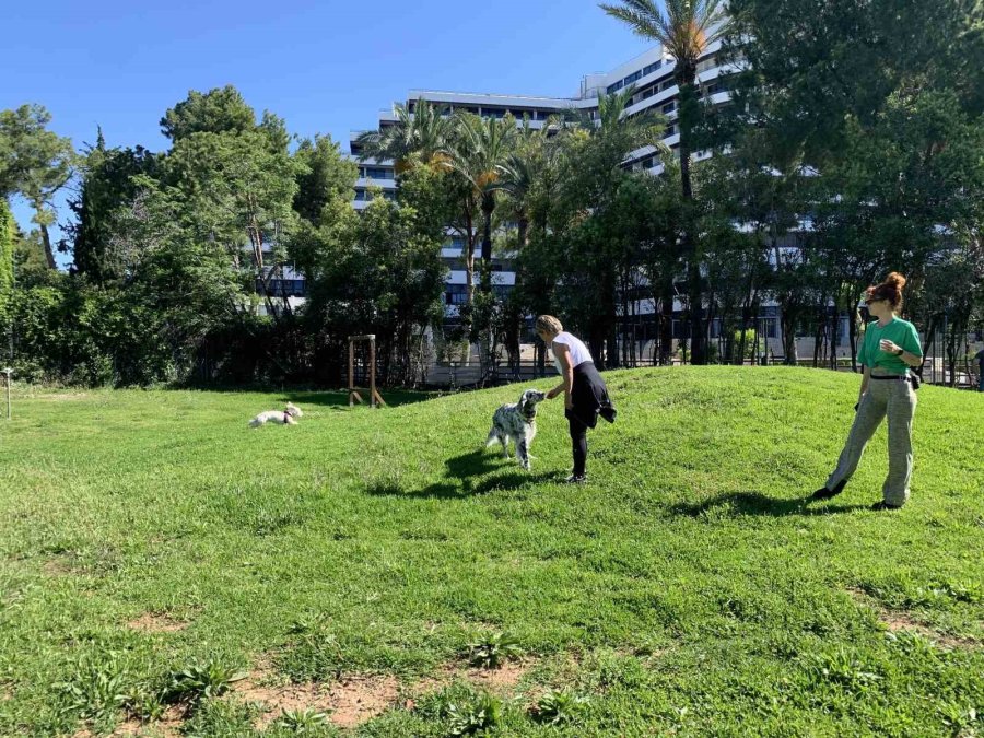 Antalya Büyükşehir Belediyesince Yenilenen Köpek Parkı Hizmete Girdi