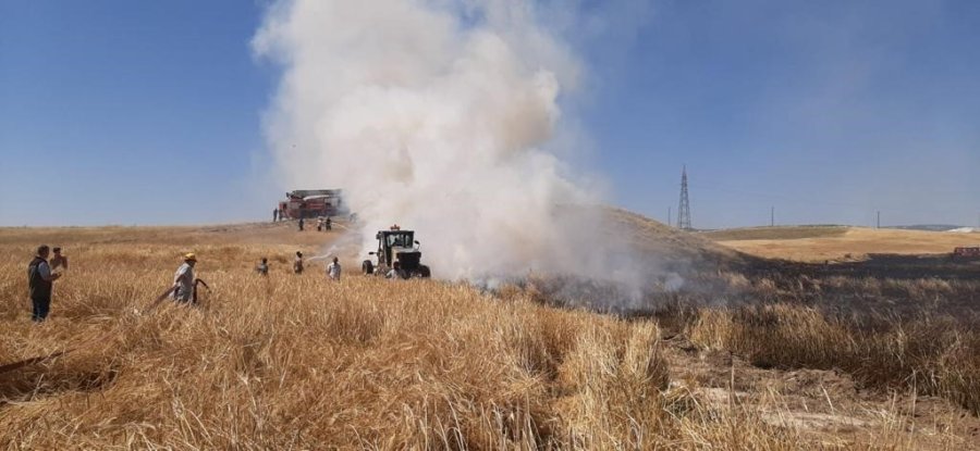 Jeneratörden Sıçrayan Alevler Arpa Tarlasını Sardı