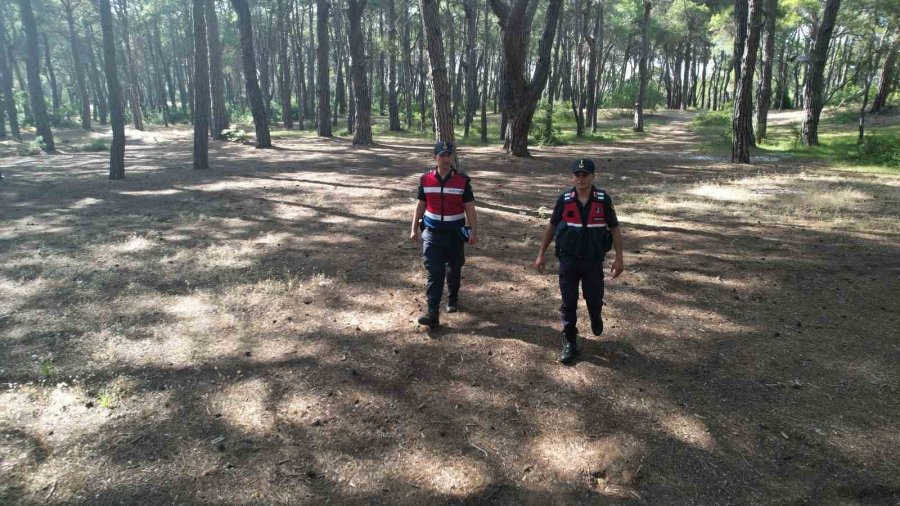 Manavgat’ta Ormanlara Jandarma Koruması