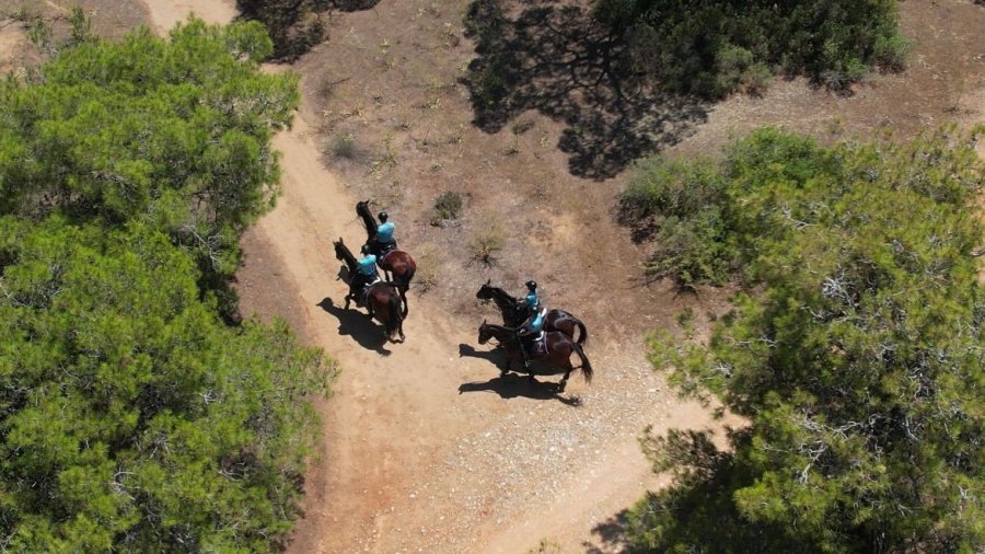 Antalya’da Jandarma Orman Denetimlerini Sıklaştırdı