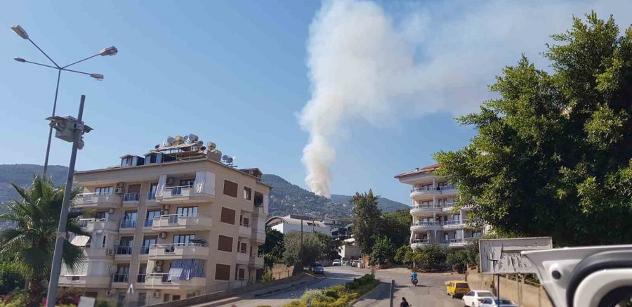 Antalya’da Orman Yangını