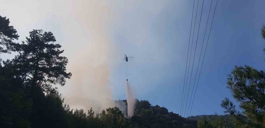 Antalya’da Orman Yangını Kontrol Altına Alındı, 1.5 Hektar Alan Zarar Gördü