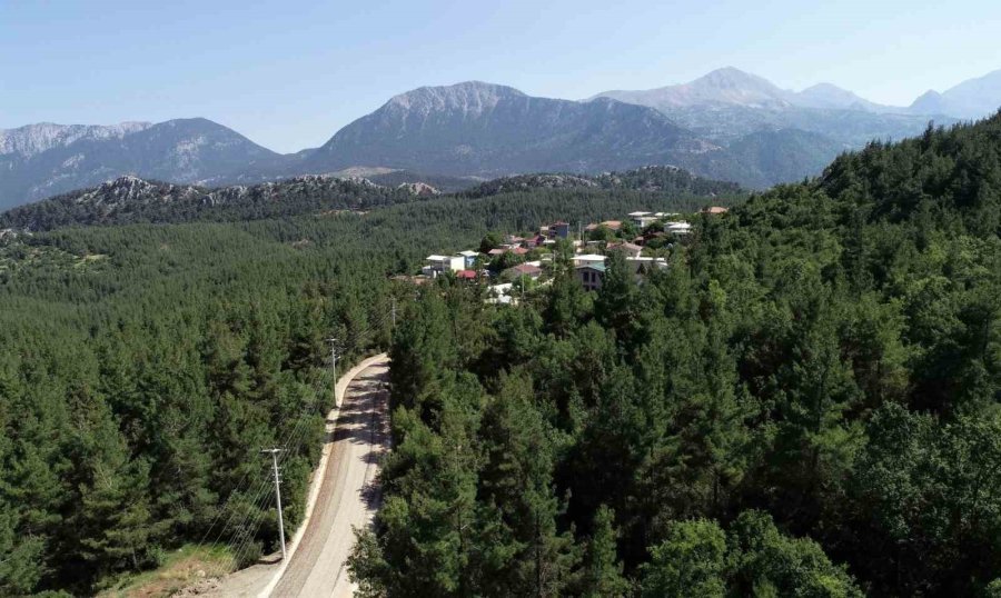 Konyaaltı Belediyesi, Alim Pınarı Yaylası’nın Yol Sorununu Çözdü