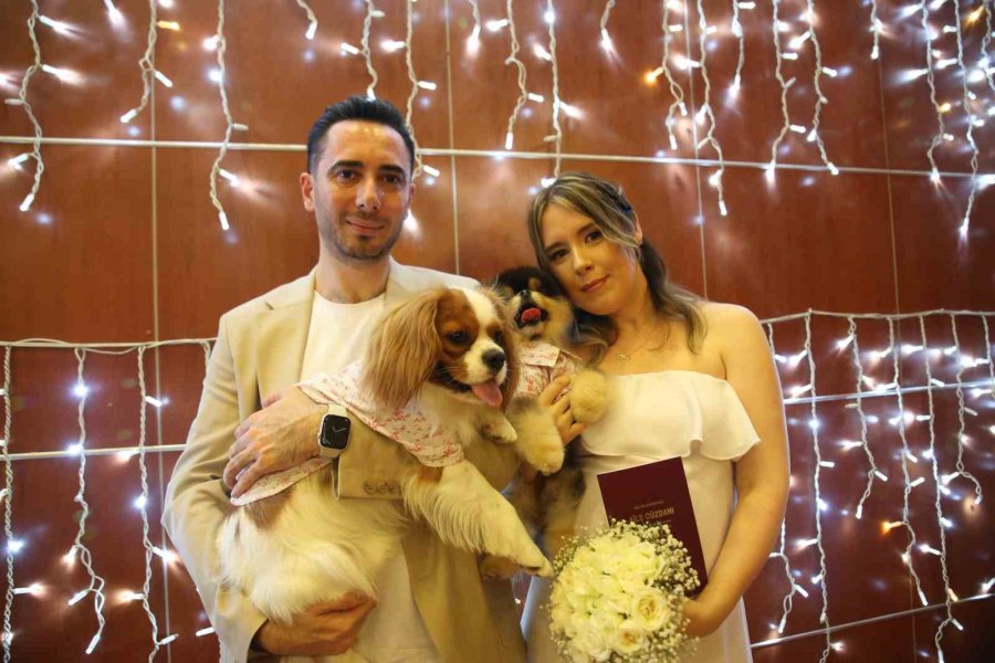 Türk Damat İle Rus Gelinin Tanışmasına Vesile Olan Köpekleri De Nikah Masasında Yer Aldı