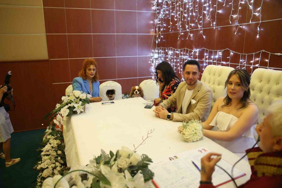 Türk Damat İle Rus Gelinin Tanışmasına Vesile Olan Köpekleri De Nikah Masasında Yer Aldı