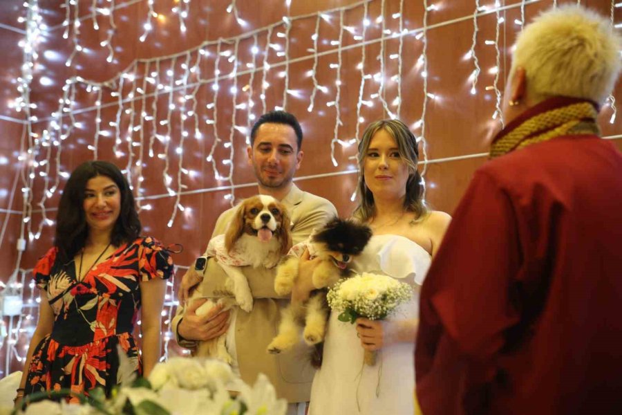 Türk Damat İle Rus Gelinin Tanışmasına Vesile Olan Köpekleri De Nikah Masasında Yer Aldı