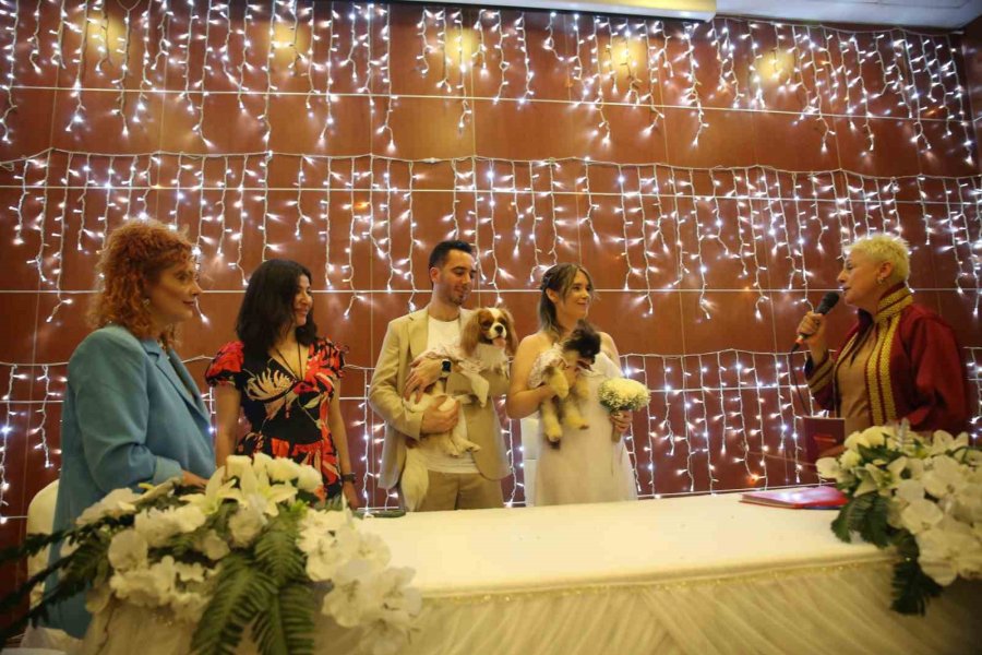 Türk Damat İle Rus Gelinin Tanışmasına Vesile Olan Köpekleri De Nikah Masasında Yer Aldı