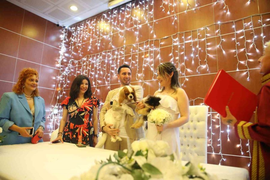 Türk Damat İle Rus Gelinin Tanışmasına Vesile Olan Köpekleri De Nikah Masasında Yer Aldı