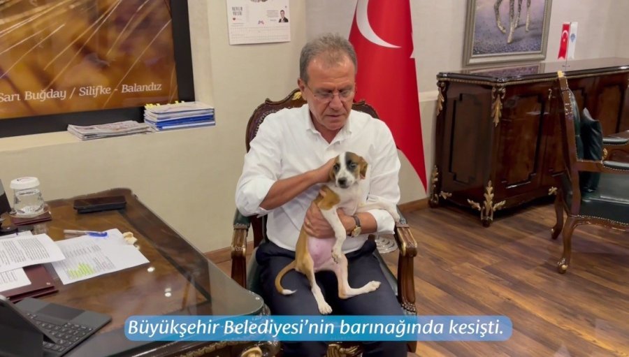 Depremzede Köpeğin Yavrusu Belediyenin Maskotu Oldu