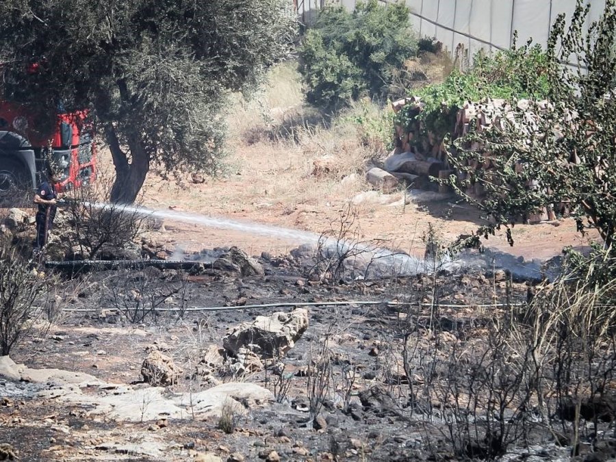 Antalya’da Çalılık Alanda Çıkan Yangın Kovanları Küle Çevirdi