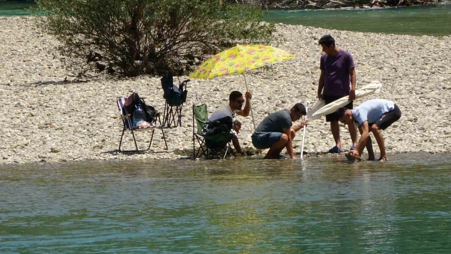 Yasak Dinlemeyip Tehlikeyi Göze Alarak Manavgat Irmağı’na Girdiler