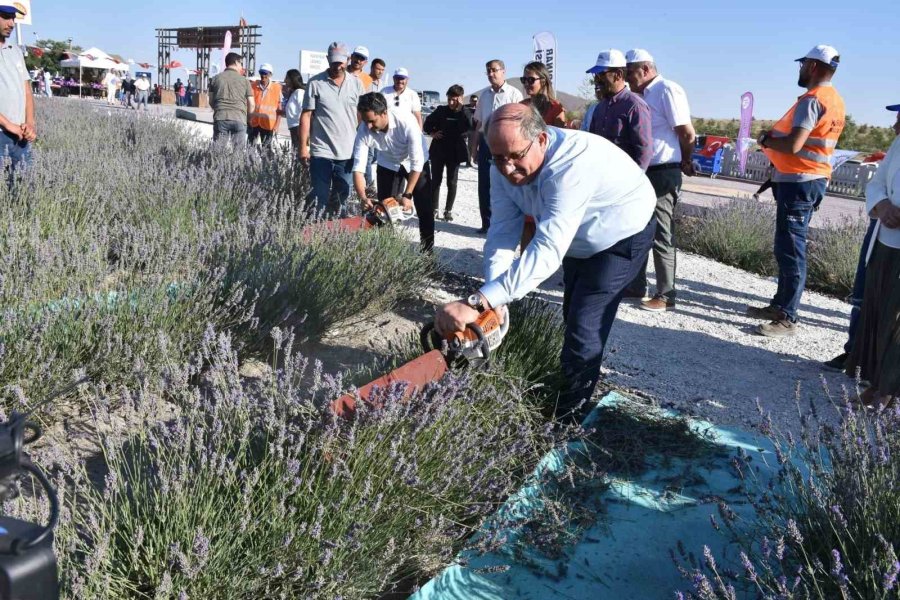 Konya’da 2. Karapınar Lavanta Festivali Düzenlendi